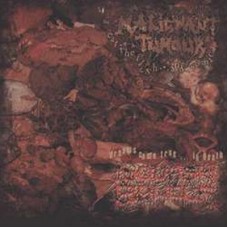 MALIGNANT TUMOUR / SQUASH BOWELS - Split CD