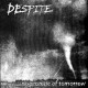 DESPITE - no promise of tomorrow CD