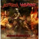 DESTROYER / VIOLATED - Outbreak of Metal vol 2 CD